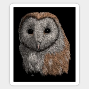 Barn Owl Sticker